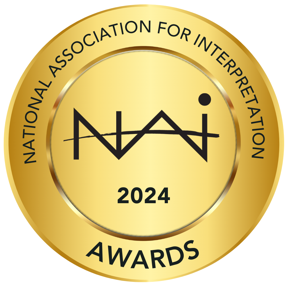 NAI 2024 Professional Awards