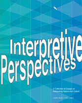 Interpretive Perspectives (eBook)